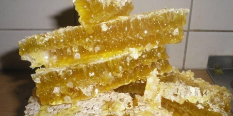 Možete li jesti vosak u saću?